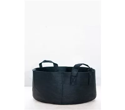 Sackgsund-Säcke schwarz ungefüllt